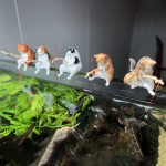 Aquariums & Other Pet Products