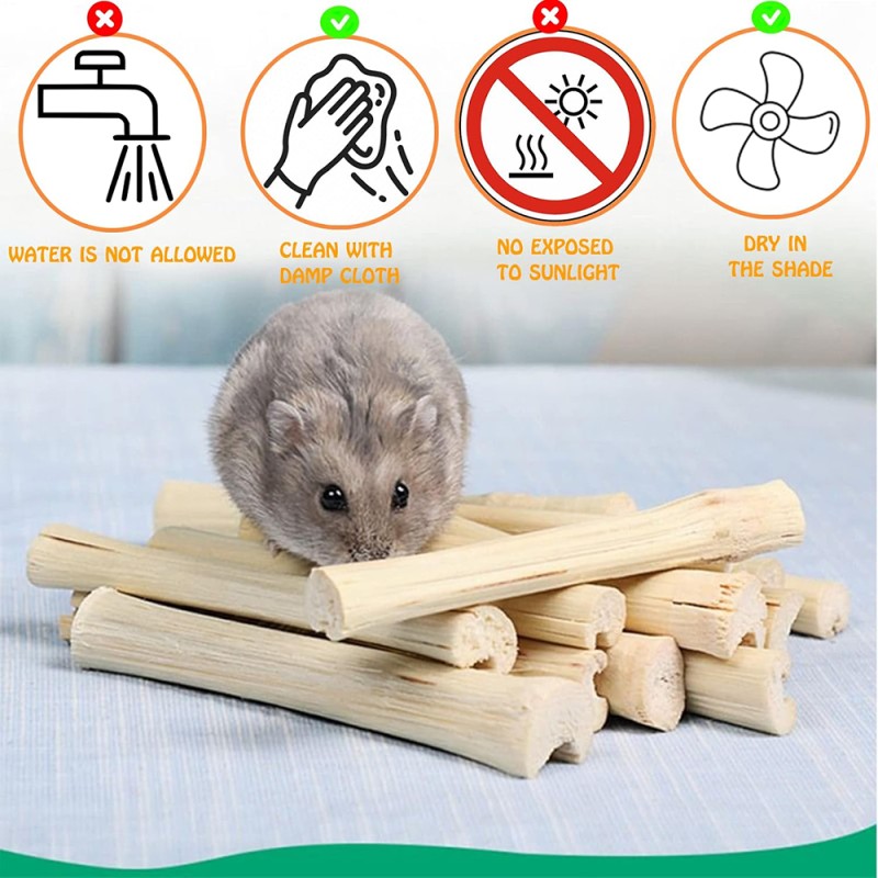 Guinea Pig Toy Manufacturer - Wooden Enrichment Hide Treats