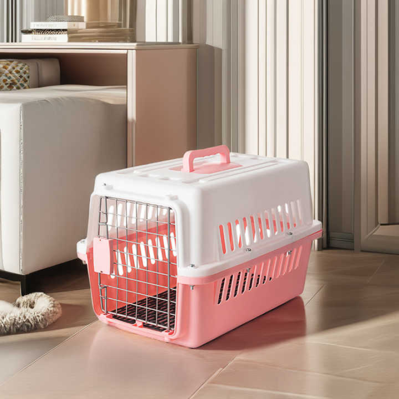 Pet Carrier Manufacturer - Small Plastic Air Box with Iron Wire Door