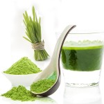 barley grass powder