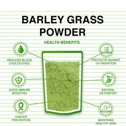 Barley Grass Powder Factory - Private Label Juice Extract