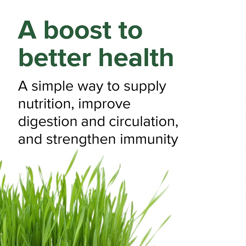 Meal Replacement Powder Manufacturer - OEM Custom Black Sesame