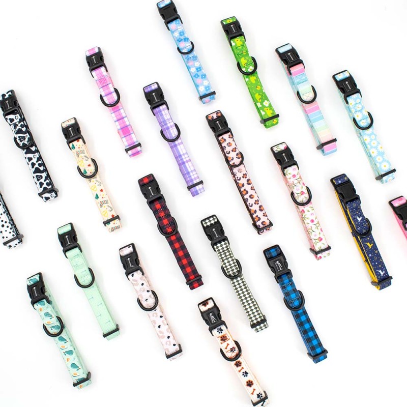 Dog Slip Lead Supplier - Webbing Straps Nylon Grooming Products