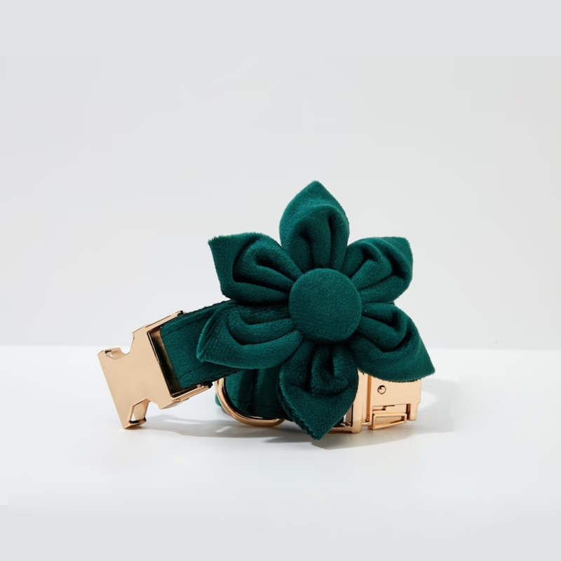 Dog Collar Supplier - Private Label Luxury ID Tag Correas