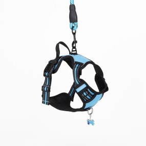 Dog Harness Supplier - Customized Reflective Designer Chest Harness