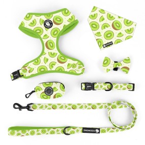 Dog Harness Set Factory - Custom Kiwi Print No Pull Soft Padded