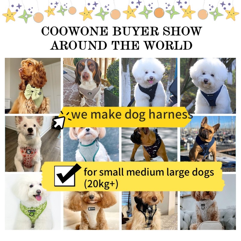 Dog Harness Supplier - Customized Reflective Designer Chest Harness