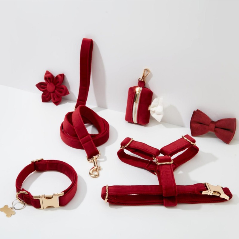 Dog Harness Set Manufacturer - Luxury Step in Velvet Customizable
