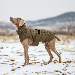 Dog Coat Manufacturer - Warm Waterproof Adjustable Winter Jacket