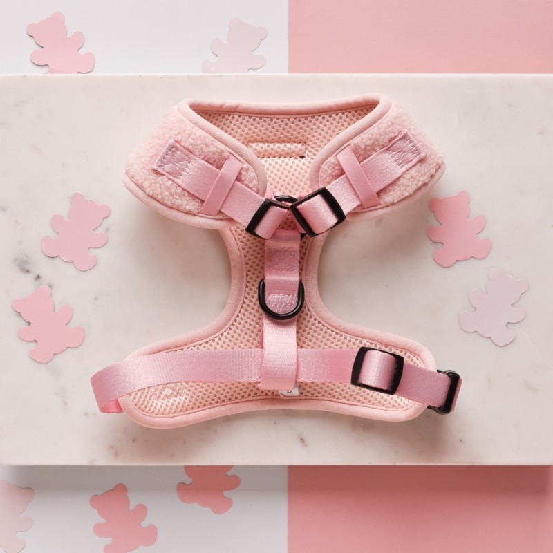 Pet Harness Manufacturer - Personalized White Soft Padded Teddy