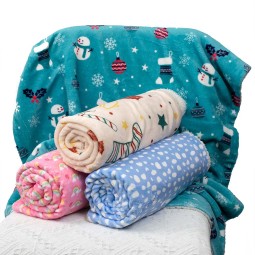 Dog Cushion Mat Supplier - Custom Personalized Coral Fleece Blanket