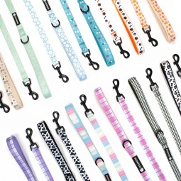 Dog Slip Lead Supplier - Webbing Straps Nylon Grooming Products