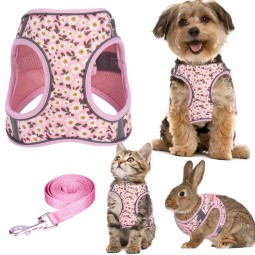 Dog Harness Set Supplier - Neoprene Luxury Adjustable Vest Design