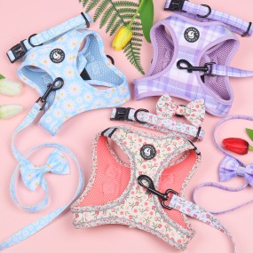 Dog Harness Set Factory - Small Step in Custom Logo Private Label
