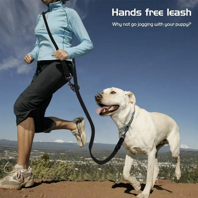 Dog Leash Factory - Hands Free TPU PVC Coated Waterproof