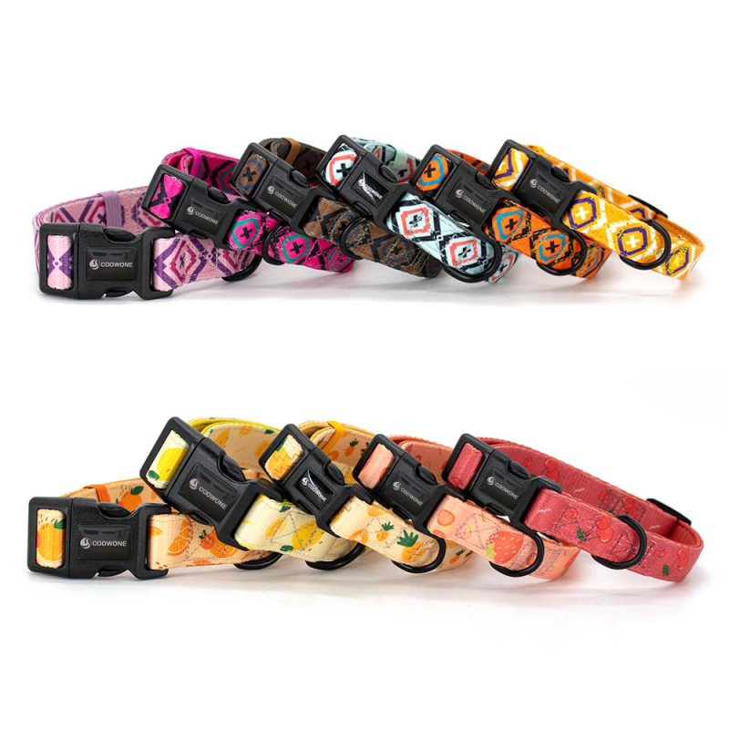 Dog Slip Lead Supplier - Webbing Straps Nylon Grooming Products