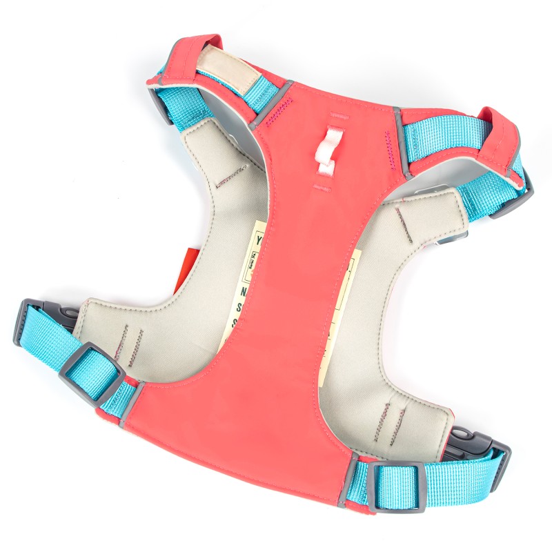 Pet Harness Set Manufacturer - Neoprene Polyester Soft Padded