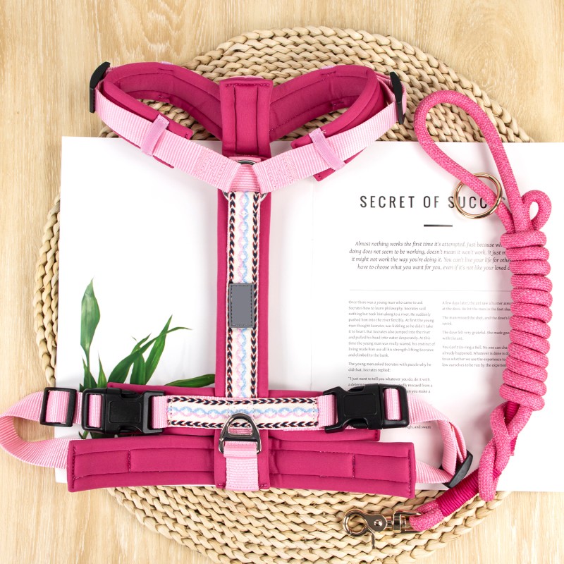 Pet Harness Set Factory - Luxury Breathable Neoprene for Cats Dogs