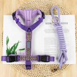 Pet Harness Set Factory - Luxury Breathable Neoprene for Cats Dogs