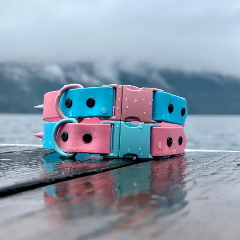 Dog Collar Supplier - Luxury Colored Waterproof PVC Contrast