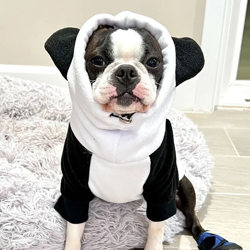 Pet Apparel Supplier - Dog Panda Costume Warm Washable Cotton