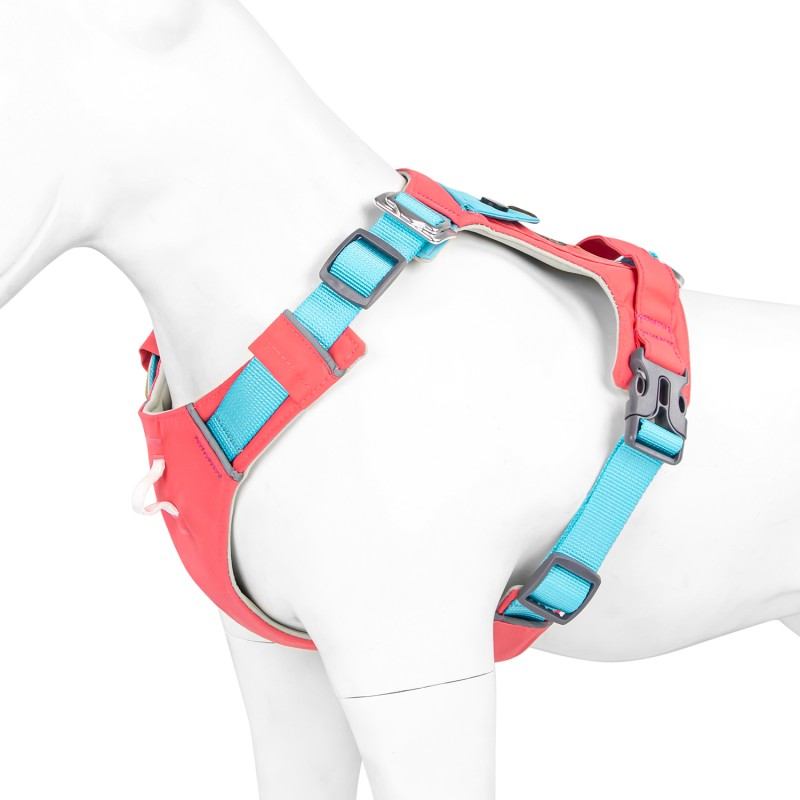 Pet Harness Set Manufacturer - Neoprene Polyester Soft Padded