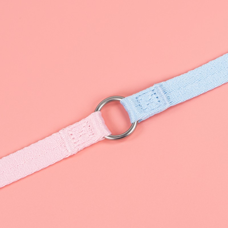 Dog Leash Manufacturer - Adjustable Fashionable Polyester Dense Grain