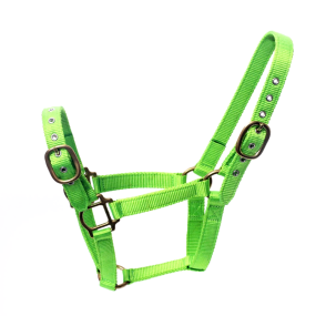 Horse Halter Manufacturer - Custom Real Leather Fancy Stitch Padded