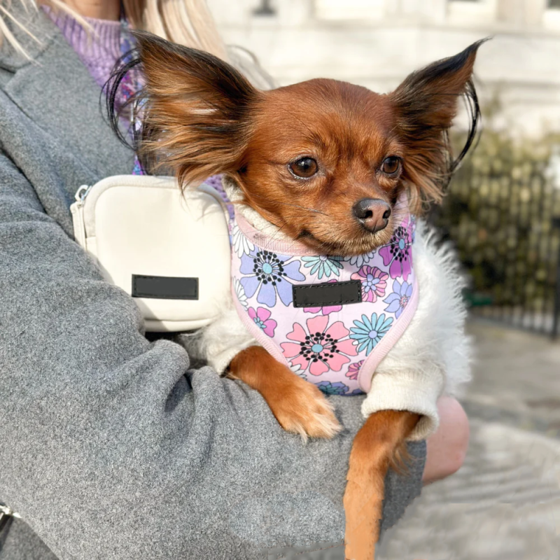 Dog Treat Pouch Supplier - Quality Shoulder Bag with Poop Dispenser