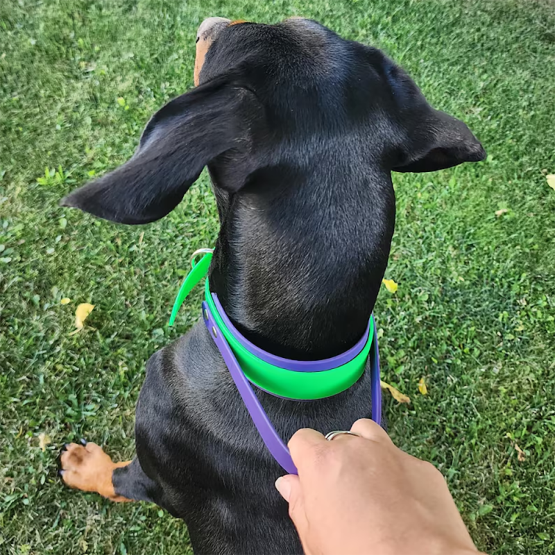 Dog Collar Factory - Custom Durable Handle Water Resistant