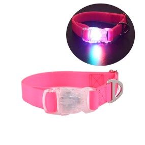 Dog Collar Supplier - Luminous LED Light Up Glow in Dark