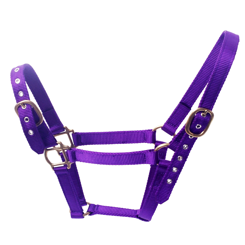 Horse Halter Manufacturer - Custom Real Leather Fancy Stitch Padded