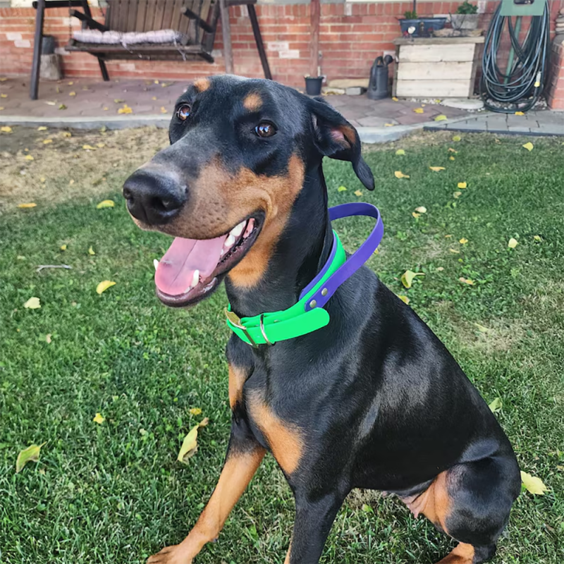 Dog Collar Factory - Waterproof PVC Easy to Clean Adjustable