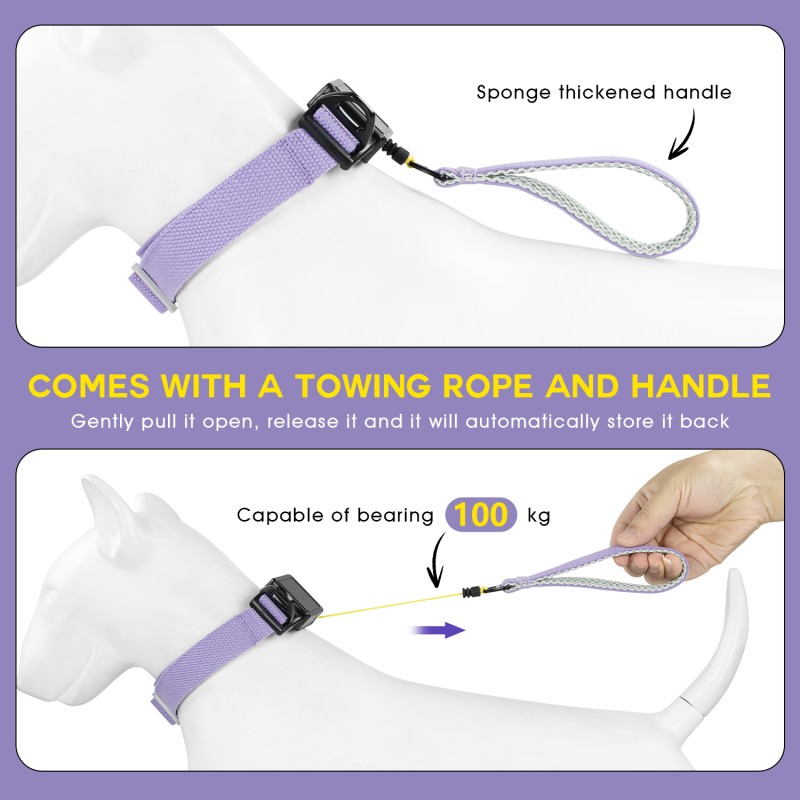 Dog Collar Supplier - Personalized Breakaway Nylon Safety Portable