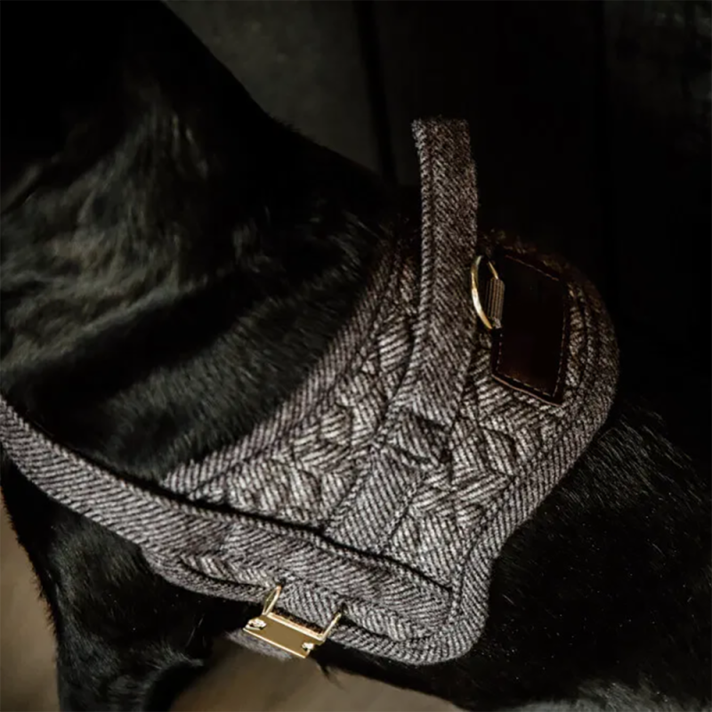 Dog Harness Manufacturer - Custom No Pull Tweed Training Design