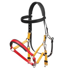 Horse Halter Manufacturer - Waterproof PVC Coated Multicolor Metal