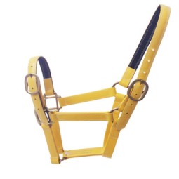 Horse Training Halter Manufacturer - Rainbow PVC Western Nylon
