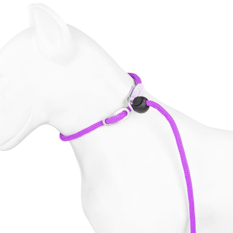 Dog Training Rope Manufacturer - Durable Round Nylon with Handle