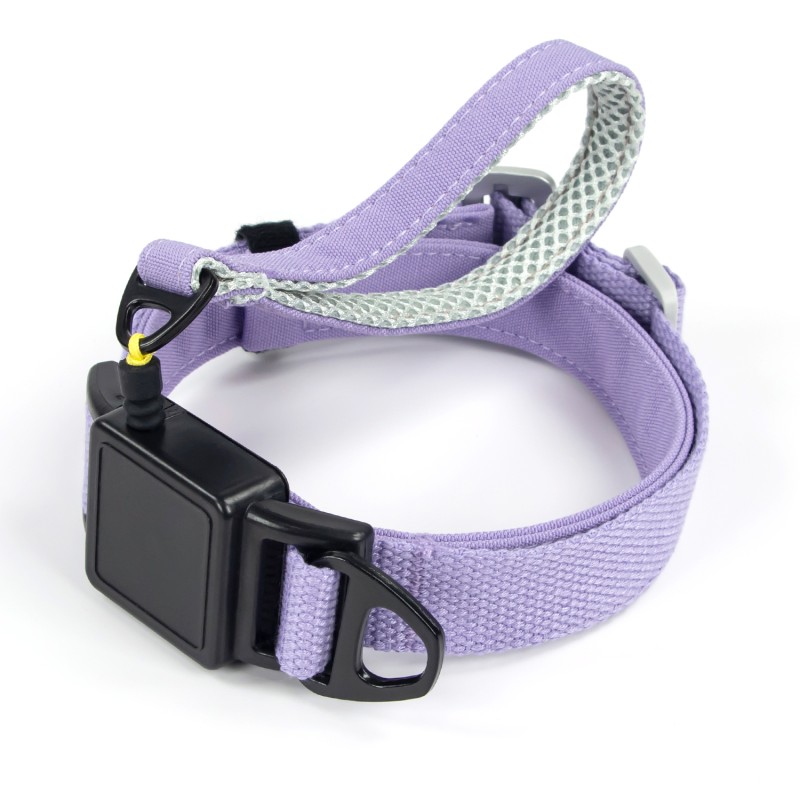 Dog Collar Supplier - Personalized Breakaway Nylon Safety Portable