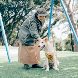 Dog Leash Supplier - Strong Pull Double Color Nylon with Leather