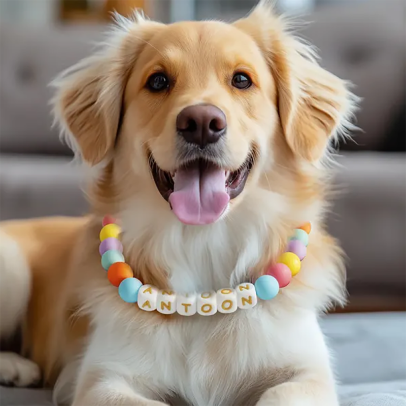 Dog Collar Manufacturer - Personalized Beaded with Name Custom