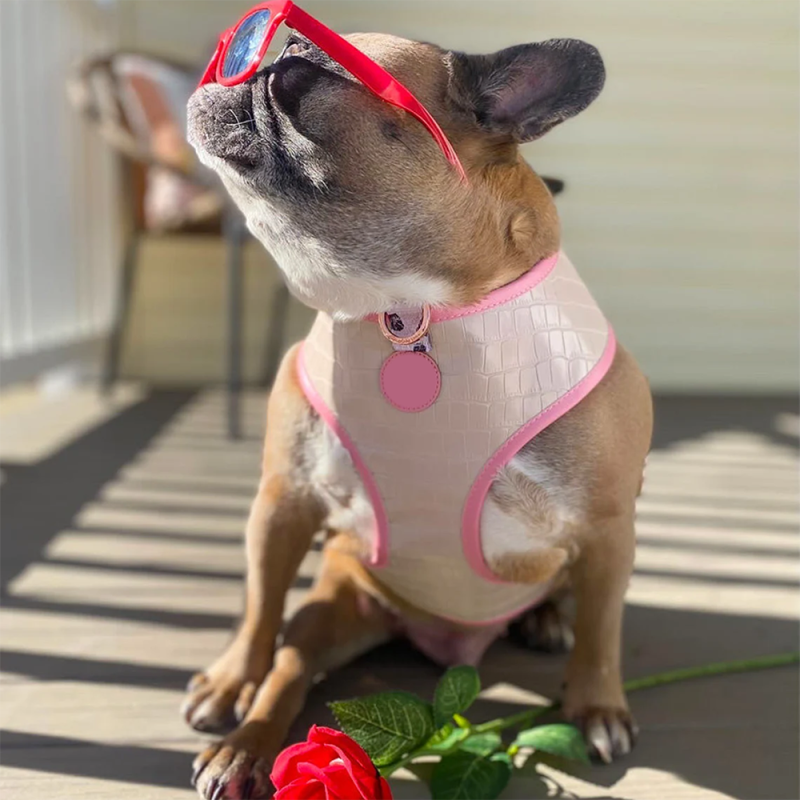 Dog Harness Supplier - New Trendy Double-Sided Printed PU Leather