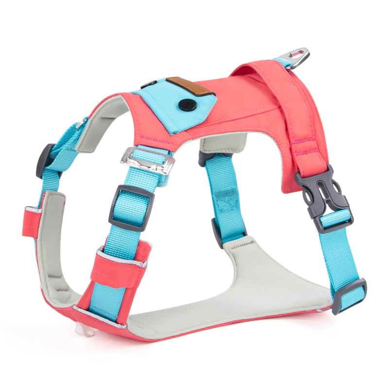 Pet Harness Set Manufacturer - Neoprene Polyester Soft Padded