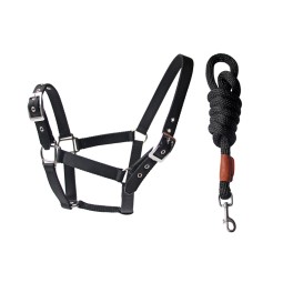 Horse Equipment Factory - Eco-Friendly RPT Halter Leather Nylon