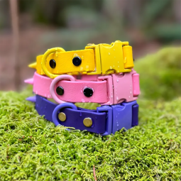 Dog Collar Supplier - Luxury Colored Waterproof PVC Contrast