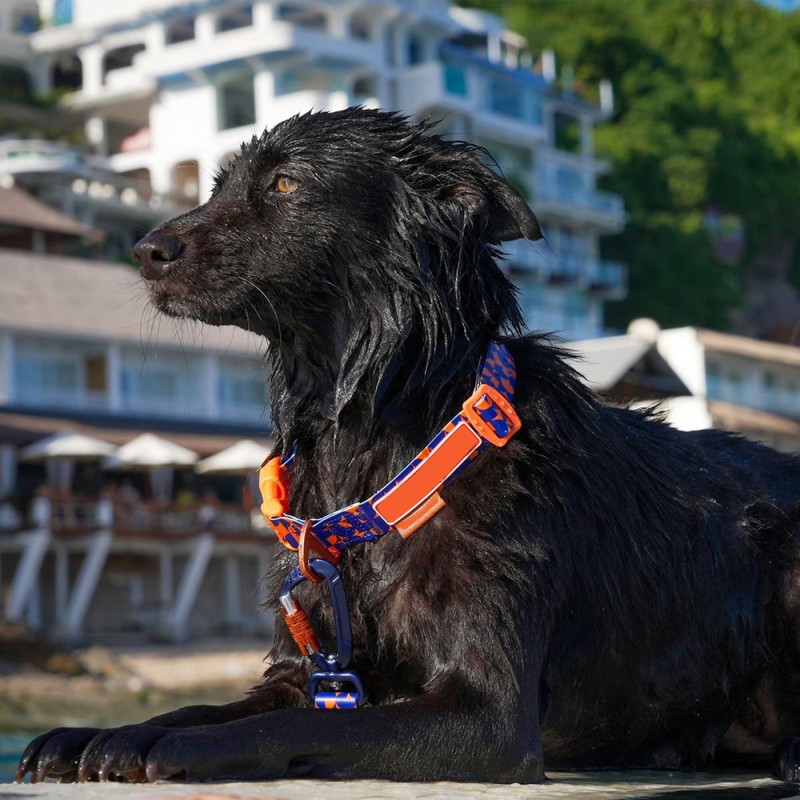 Pet Leash Set Manufacturer - New Design Odor-resistant Ocean