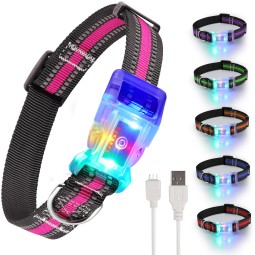 Pet Collar Factory - Adjustable Night Walking LED Chargeable