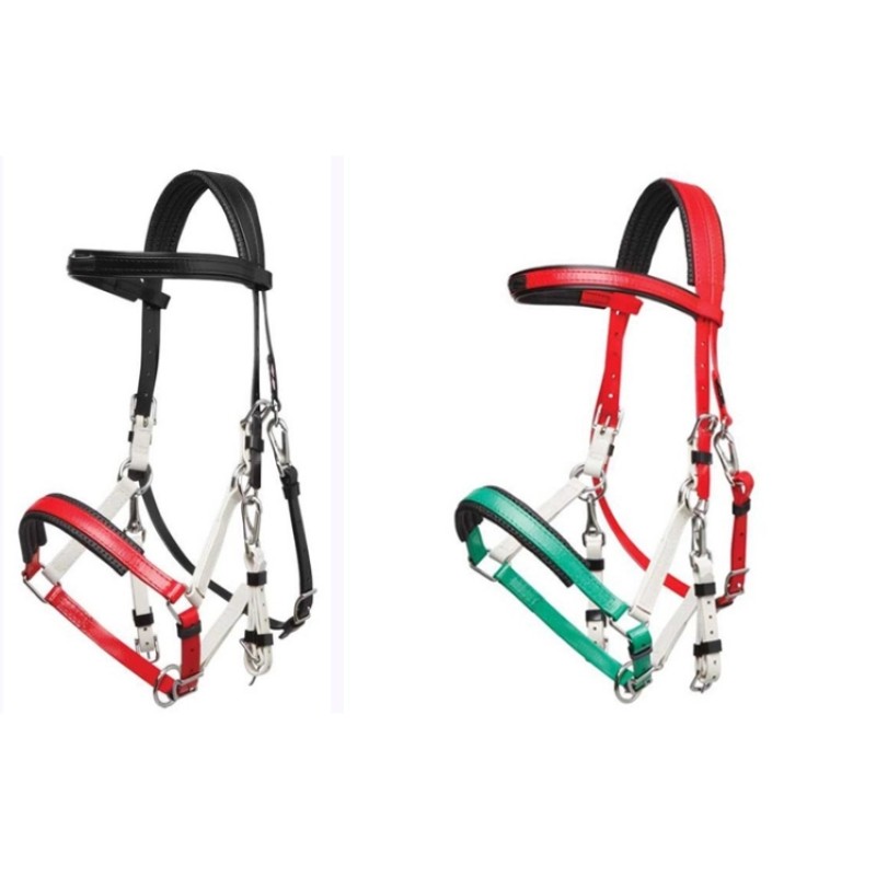 Horse Halter Manufacturer - Waterproof PVC Coated Multicolor Metal