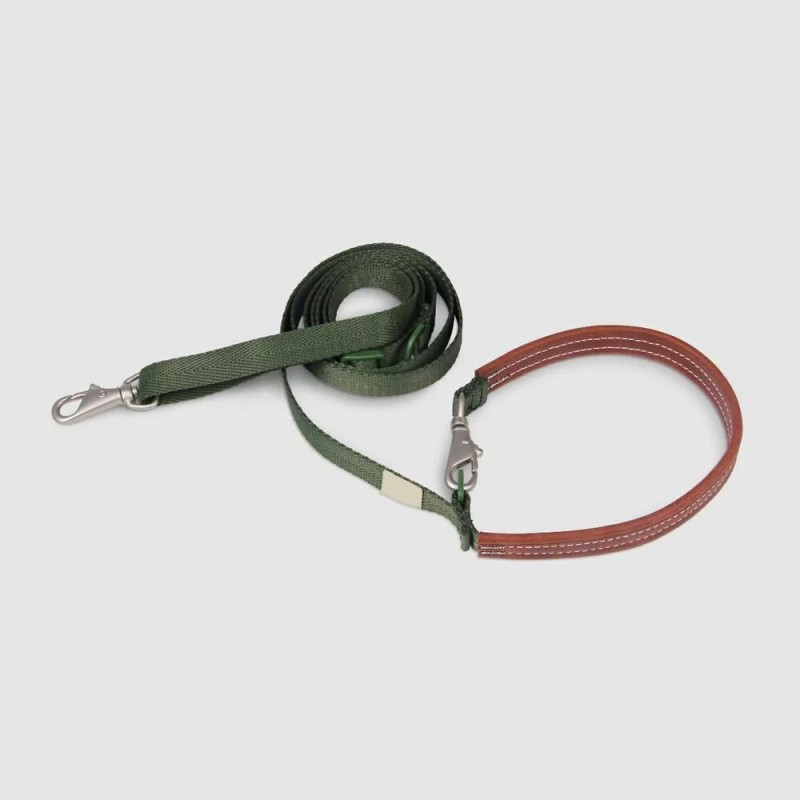 Dog Slip Leash Supplier - Two Color Nylon Adjustable Loop
