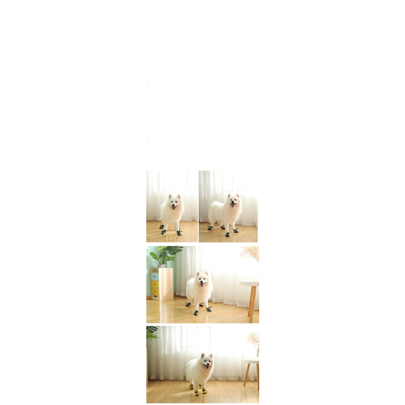 Pet Shoes Supplier - Breathable Waterproof Reflective Soft-Soled